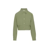 Green/Bitter Sage