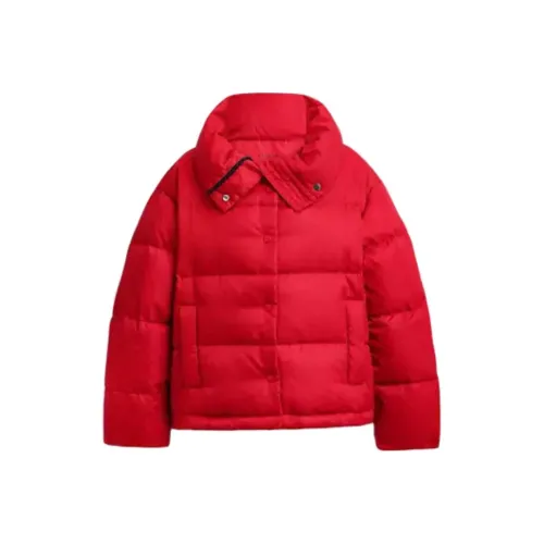 COACH Signature Jacquard Short Puffer In Recycled Polyamide Down Jacket Women's Red