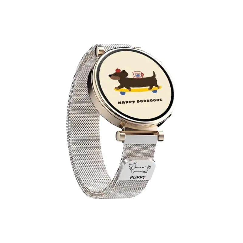 Watchbond Huawei Compatibility Watch Band Metal-1
