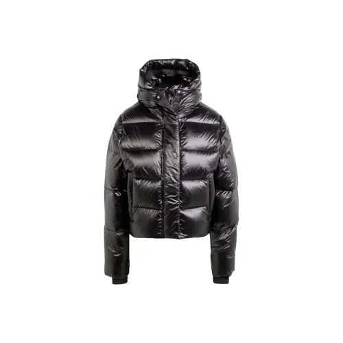 Adidas Originals Short Premium Puffer Jacket