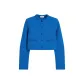 Prussian Blue/Prussian Blue