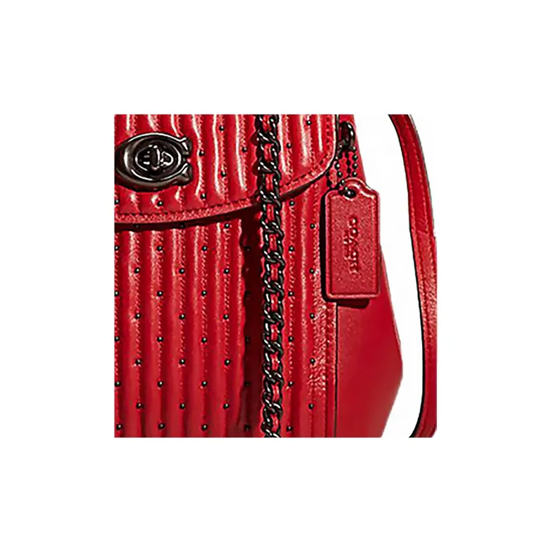 COACH Parker Nappa Leather Backpack Small Size Women's Red Apple Color-1