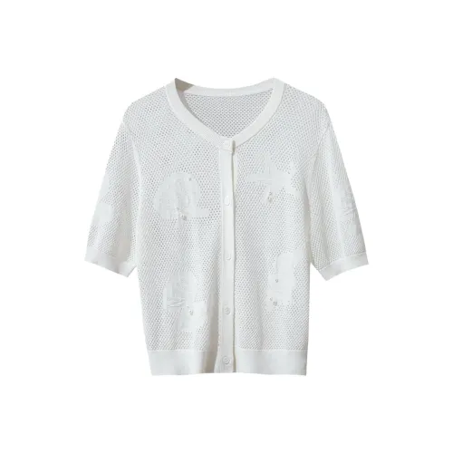 AMII Knitwear Women's