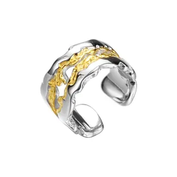 CENTURY&KINDLE S925 Silver Clip On Earrings Unisex