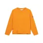 Honey Ginger Yellow