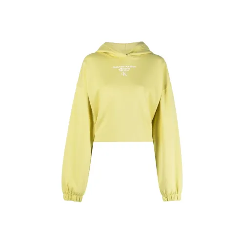 Braguitas burdeos con detalle de logo metalizado Modern Cotton de Calvin Klein Plus