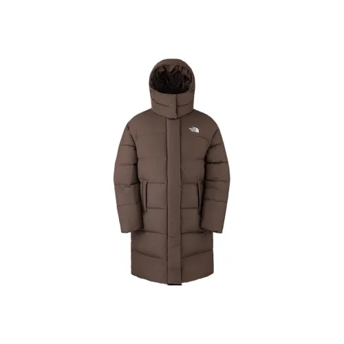 THE NORTH FACE City Outdoor Collection DWR Down Jacket Women's Smoky Brown