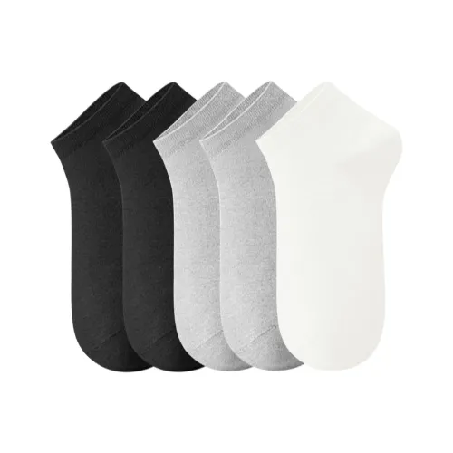 PL Women's Socks