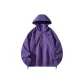 Aurora Purple