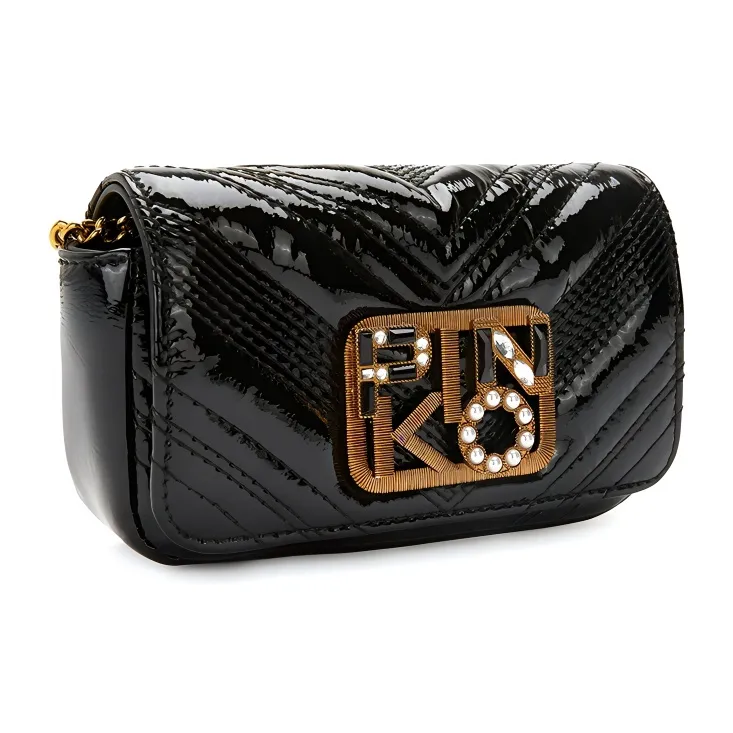 PINKO EXOTICS Leather Chain Bag Swan Bag Crossbody Bag Shoulder Bag Women's Black-1