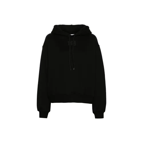 Alexander Wang Essential Terry Puff Paint Logo Hoodie Black