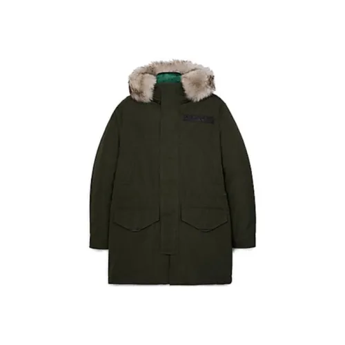 COACH Coats Women's Olive
