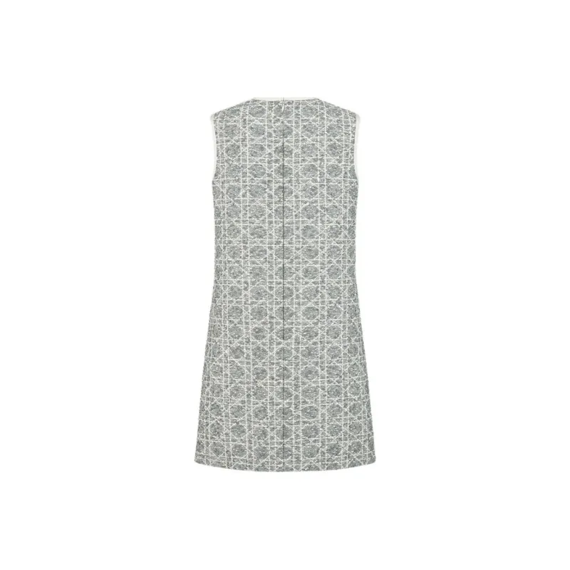 DIOR FW25 Sleeveless Dress Women's Gray-1