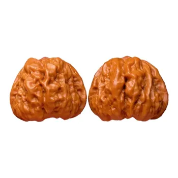 TANGSHU Walnut Fine Handicraft Collectible Unisex