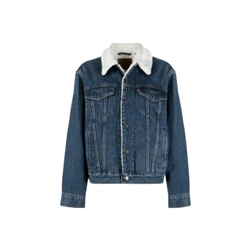 Levis Ex Boyfriend Trucker Denim Jacket