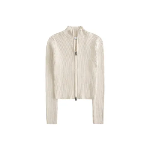 Hollister Knitwear Women's