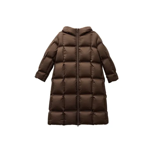 THE SEA LIFE Down Jacket Women's