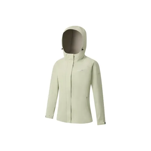 Saucony Jacket Women's Clover Green
