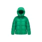 Green 4820