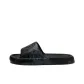 Black (Xv Bear)