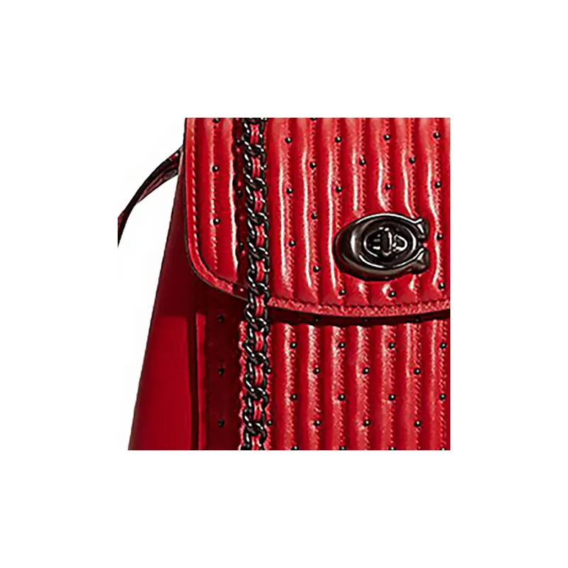 COACH Parker Nappa Leather Backpack Small Size Women's Red Apple Color-2