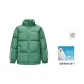 Medium Green 40550
