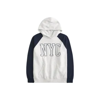 Hollister Sweatshirt Women's Gray