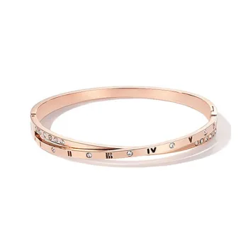 Good Quality Titanium Steel Bangles Unisex