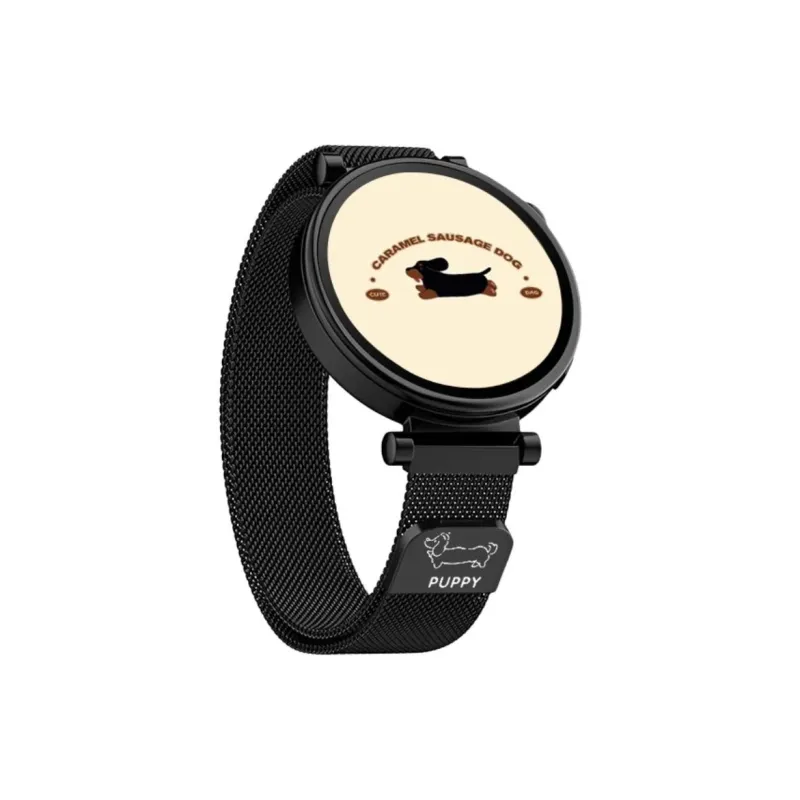 Watchbond Huawei Compatibility Watch Band Metal-7