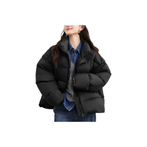 Evelyn 여성 다운 재킷