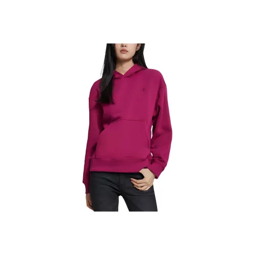 CALVIN KLEIN Sweatshirt Women's Overripe Plum Color