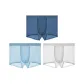 Cerulean+Sky Blue+Light Gray