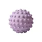 Purple Spot Massage Ball