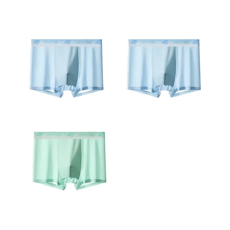 Cotton Gene Underpants Men's 3 Pack-5