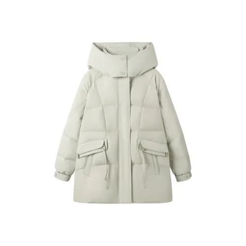 LEDIN Down Jackets LR-03-Logo Women's Whispering Green