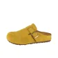 Ginger Yellow