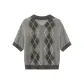 Gray Plaid