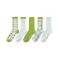 [5 Pack]Mixed Color 5 Pack