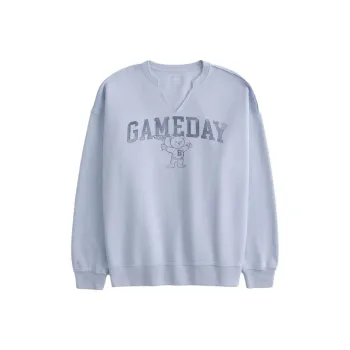 Hollister Sweatshirt Women's Light Blue