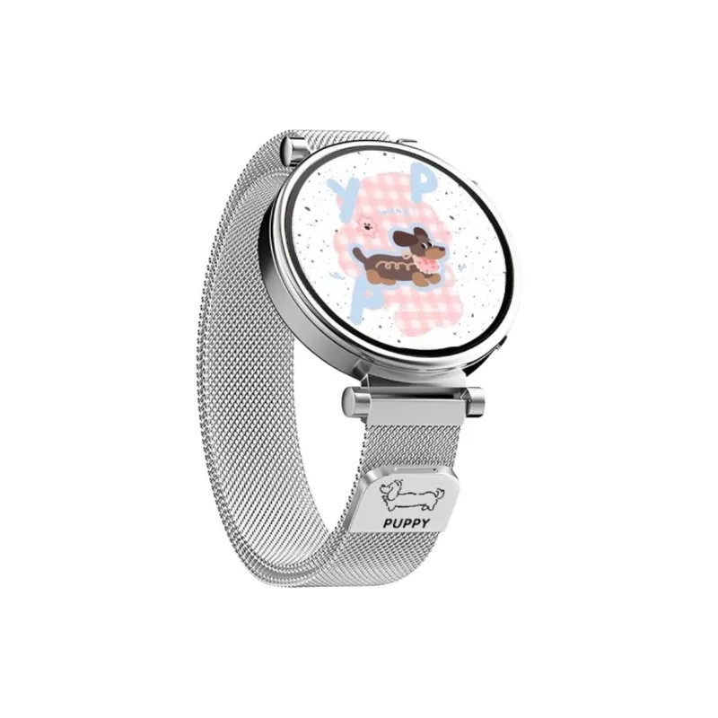 Watchbond Huawei Compatibility Watch Band Metal-4