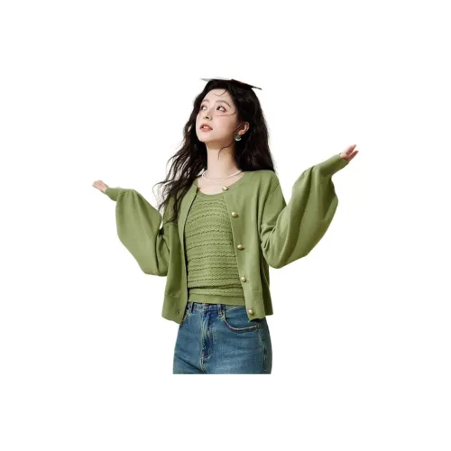 MISHOW Knitwear Women's