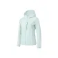 Gray Tone Mint Green