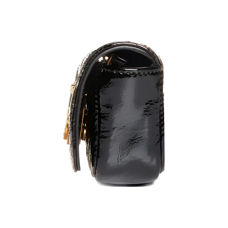 PINKO EXOTICS Leather Chain Bag Swan Bag Crossbody Bag Shoulder Bag Women's Black-2