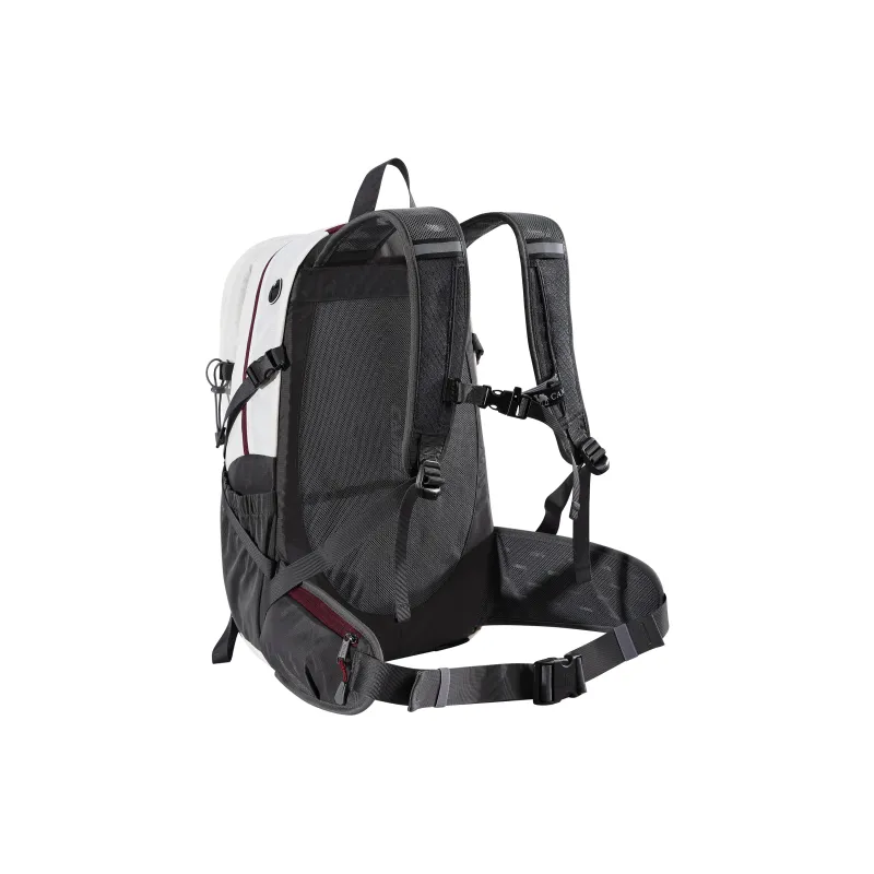 CAMEL Polyester Backpack Regular Unisex Fruit Green/Premium Gray-10