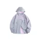 Light Gray Purple