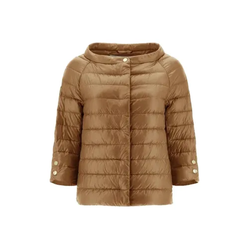HERON PRESTON Jackets & Coats Women's Camel