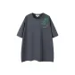 Raven Feather Gray