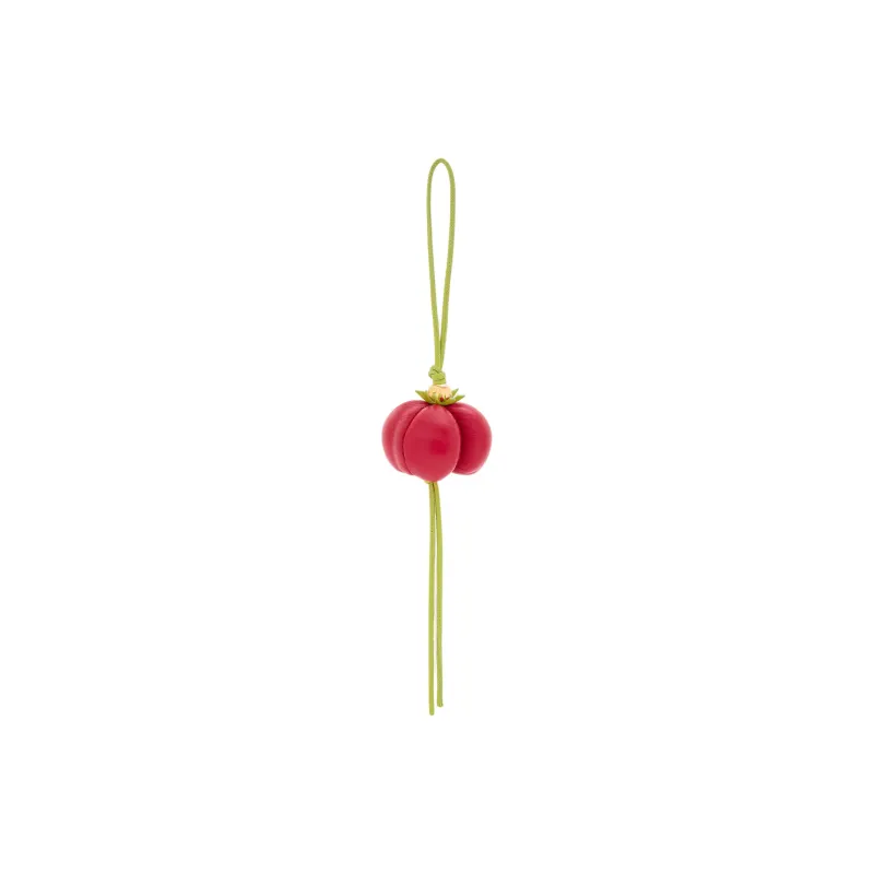 LOEWE Cow Leather Bag Accessory Women's Red-0