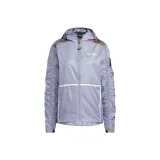 Silver Gray Violet