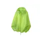 Neon Green